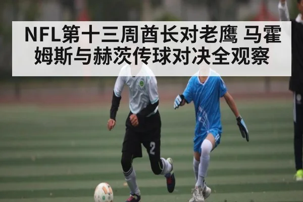 NFL第十三周酋长对老鹰 马霍姆斯与赫茨传球对决全观察